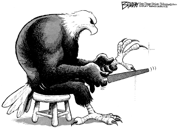 Steve Breen's image of an eagle sharpening its claws